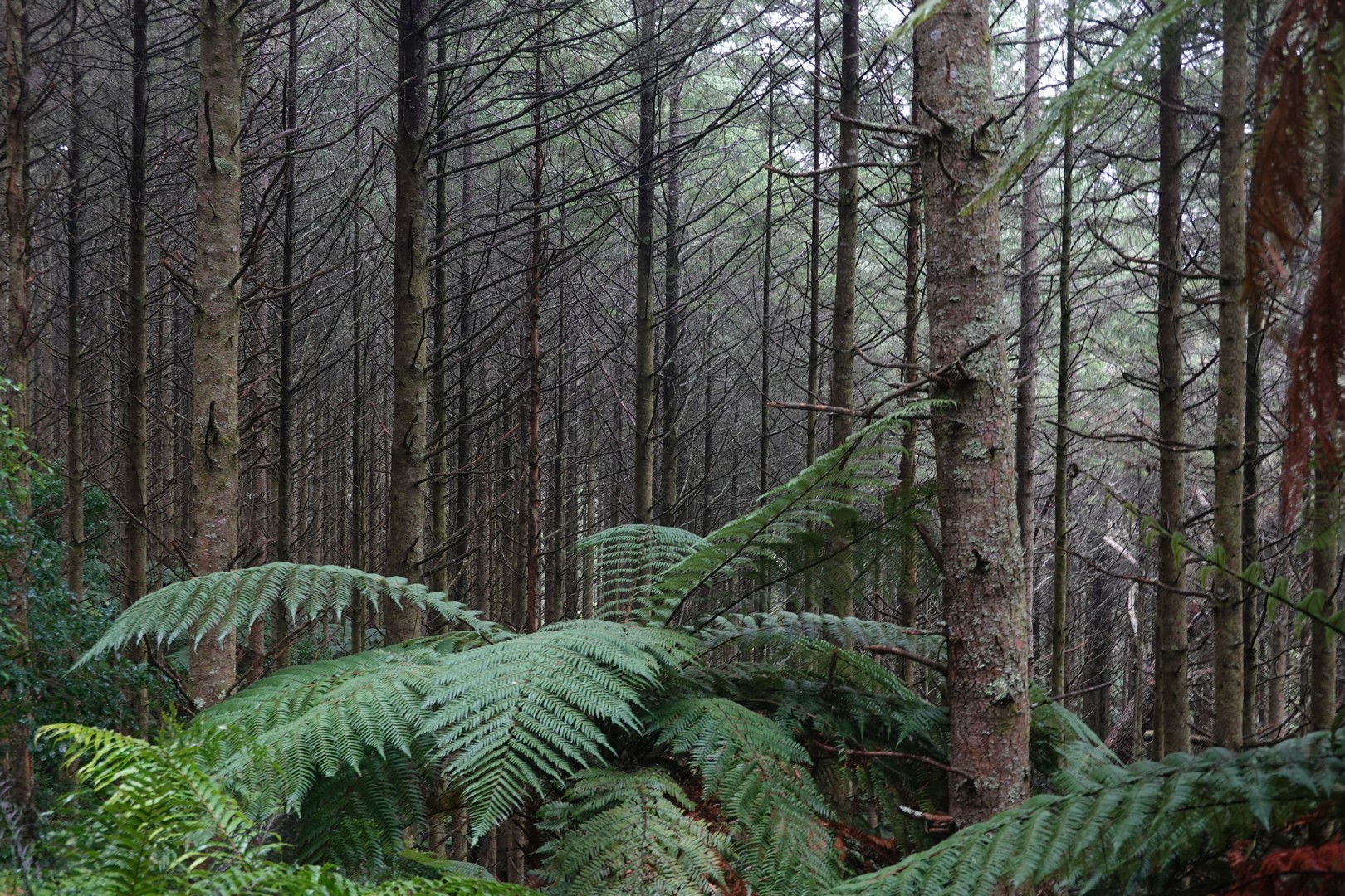 /ecran/2024_New-Zealand_1490.jpg