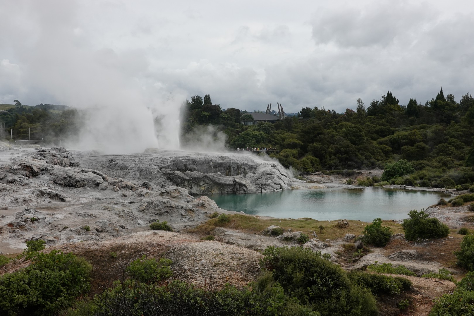 /ecran/2024_New-Zealand_1513.jpg