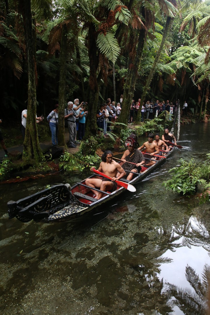 /ecran/2024_New-Zealand_1541.jpg