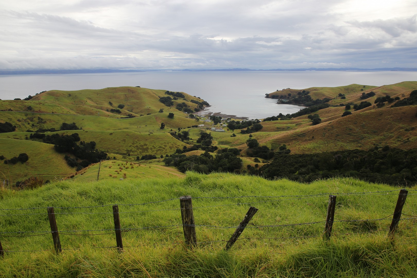 /ecran/2024_New-Zealand_1620.jpg