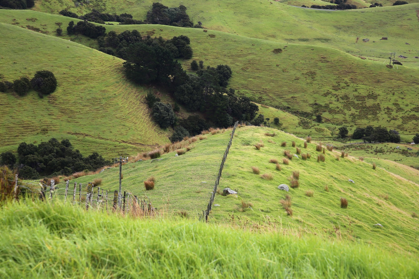 /ecran/2024_New-Zealand_1629.jpg