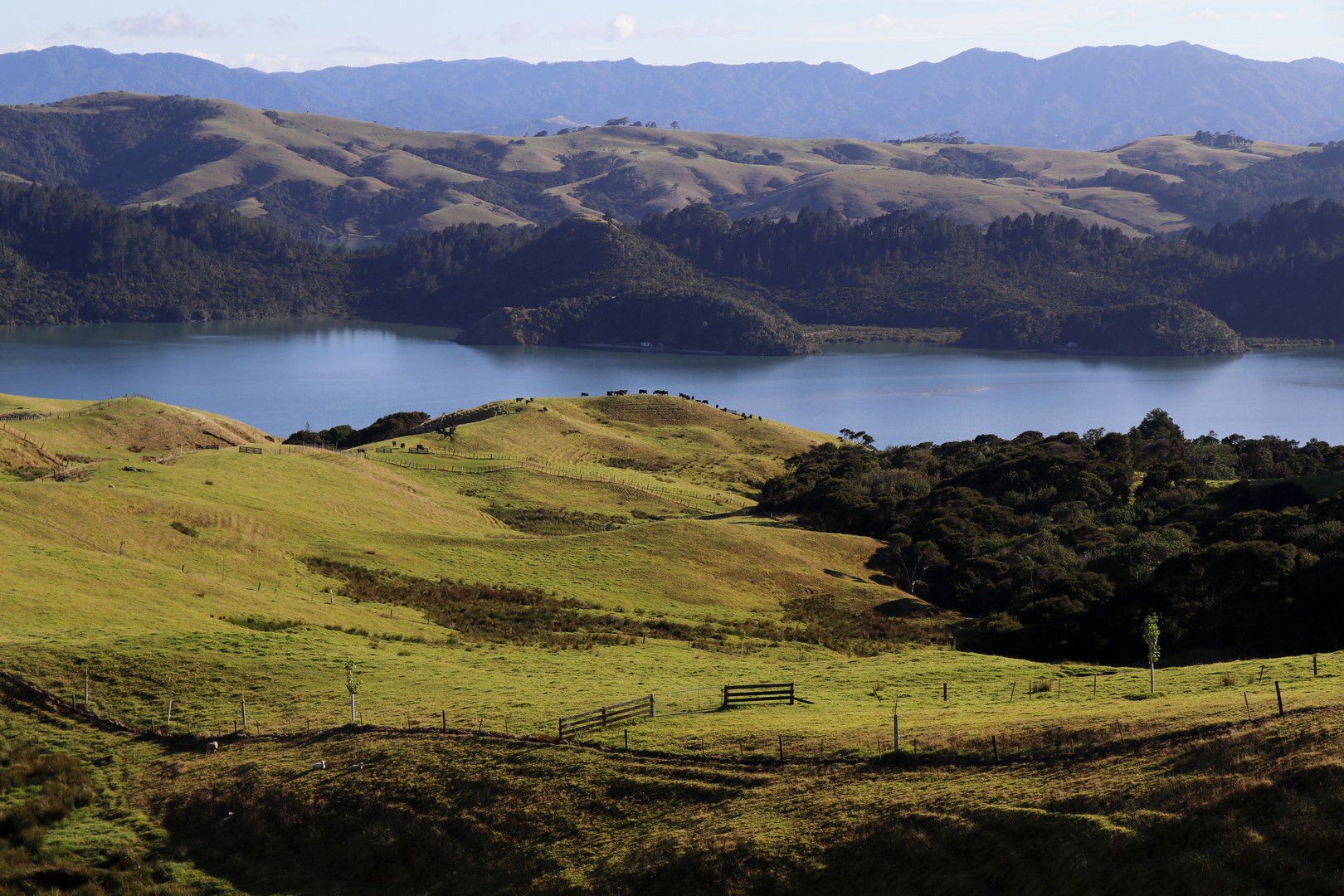 /ecran/2024_New-Zealand_1764.jpg