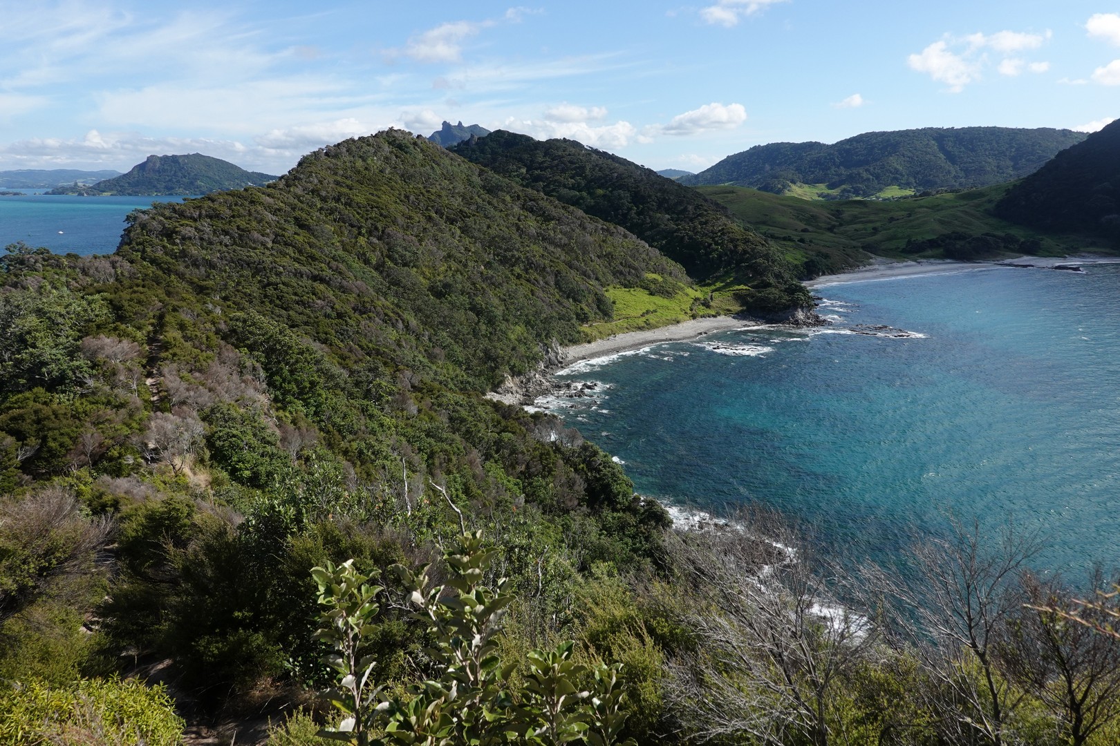 /ecran/2024_New-Zealand_1809.jpg