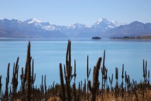 vignette 2024_New-Zealand_0256.jpg 