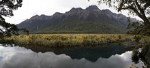 vignette 2024_New-Zealand_0636.jpg 