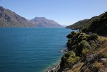 vignette 2024_New-Zealand_0647.jpg 