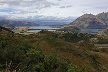 vignette 2024_New-Zealand_0692.jpg 