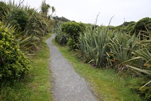 vignette 2024_New-Zealand_0795.jpg 