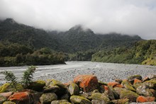 vignette 2024_New-Zealand_0853.jpg 