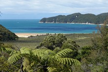 vignette 2024_New-Zealand_0989.jpg 