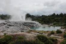 vignette 2024_New-Zealand_1513.jpg 