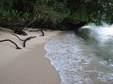 vignette Indonesie_2014_0069.jpg 