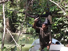 vignette Indonesie_2014_0117.jpg 