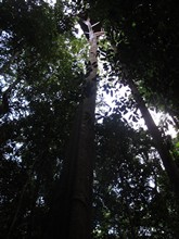 vignette Indonesie_2014_0174.jpg 