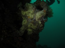 vignette Indonesie_2014_0284.jpg 