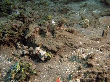 vignette Indonesie_2014_0325.jpg 