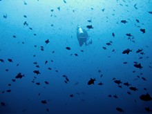 vignette Indonesie_2014_0441.jpg 