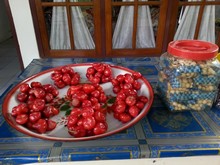 vignette Indonesie_2014_0581.jpg 