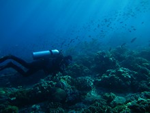 vignette Indonesie_2014_0627.jpg 