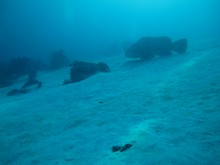 vignette Indonesie_2014_0778.jpg 