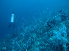 vignette Indonesie_2014_1014.jpg 