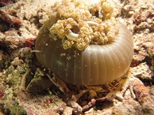 vignette Indonesie_2014_1065.jpg 