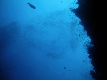 vignette Indonesie_2014_1095.jpg 