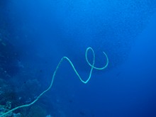 vignette Indonesie_2014_1101.jpg 