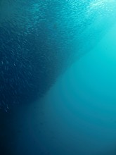 vignette Indonesie_2014_1201.jpg 