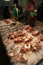 vignette Tunisie_0071.jpg 