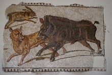 vignette Tunisie_0139.jpg 