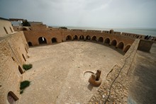 vignette Tunisie_0243.jpg 