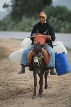 vignette Tunisie_0283.jpg 