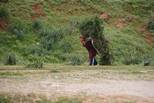 vignette Tunisie_0285.jpg 