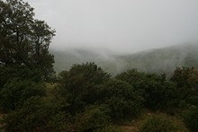 vignette Tunisie_0318.jpg 