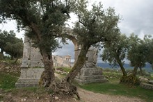 vignette Tunisie_0399.jpg 