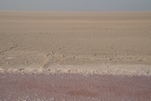 vignette Tunisie_0668.jpg 