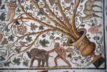 vignette Tunisie_0895.jpg 