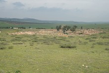 vignette Tunisie_1003.jpg 