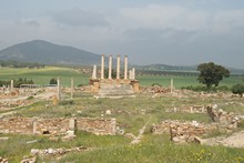 vignette Tunisie_1010.jpg 