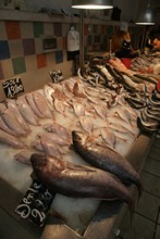 vignette Tunisie_1155.jpg 