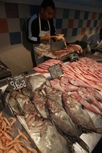 vignette Tunisie_1157.jpg 