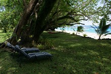 vignette Vanuatu_111.jpg 