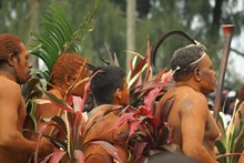 vignette Vanuatu_350.jpg 