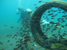 vignette Indonesie_2017_0480.jpg 