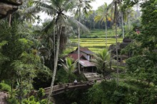 vignette Indonesie_2017_1332.jpg 