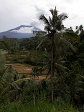 vignette Indonesie_2017_1602.jpg 