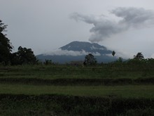 vignette Indonesie_2017_1628.jpg 