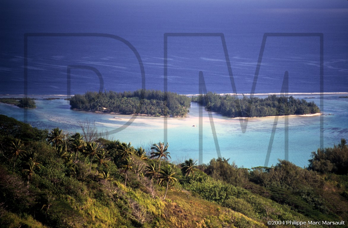 /ecran/D_polynesie_115.jpg