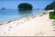 vignette seychelles_021.jpg 